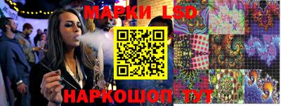 стафф Донской