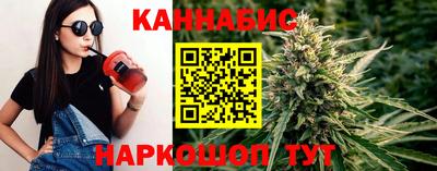 стафф Донской