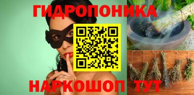 стафф Донской
