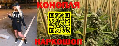стафф Донской