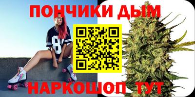 ешки Дубна
