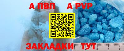 стафф Донской