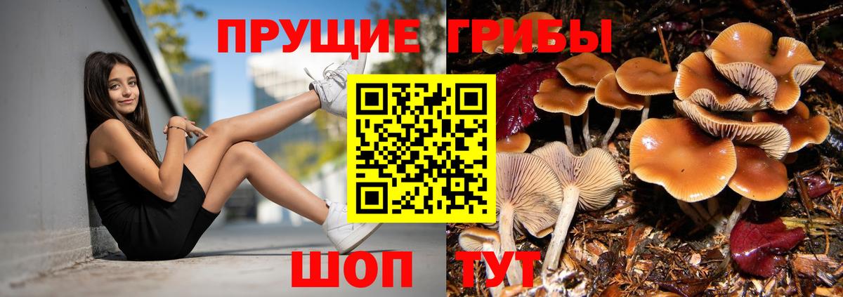 Галлюциногенные грибы прущие грибы Ливны
