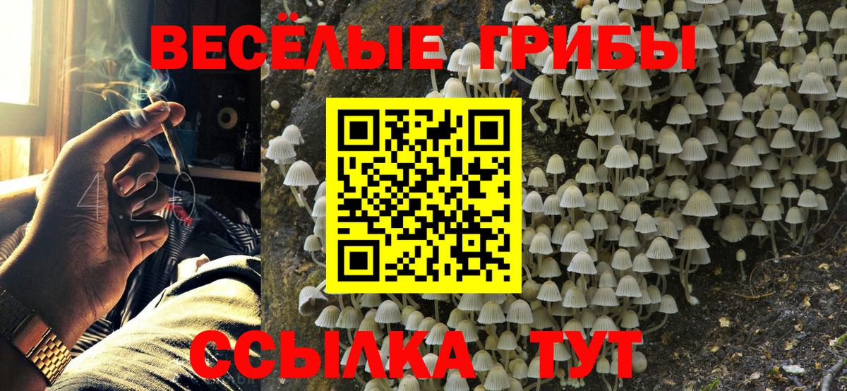 Псилоцибиновые грибы Magic Shrooms  Вход с VPN  Ливны 